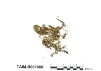 藏品(曲枝平苔)的圖片